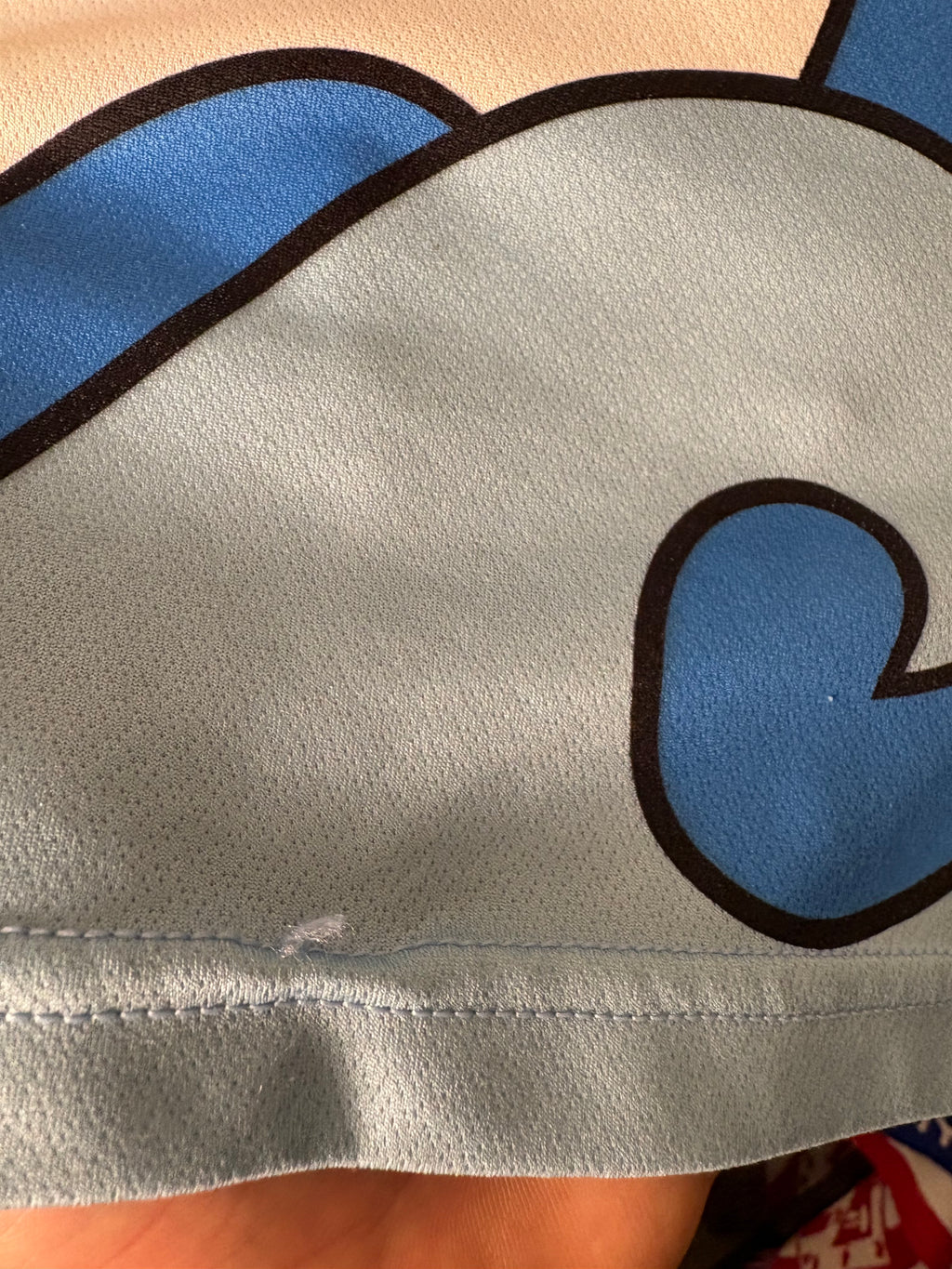 Pescara Calcio 2019/20 Special Edition Shirt by Errea (M)